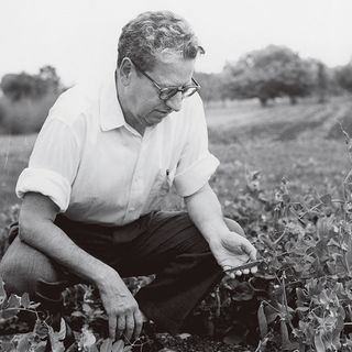 67: The Life and Death of Mr. Organic / Ultima Verba, part 3