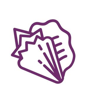 PGP Dental Consultancy