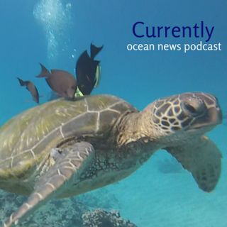 Currently Ocean News Podcast