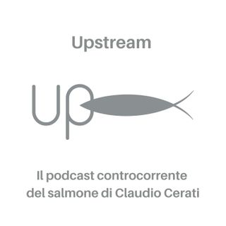 Upstream, il salmone