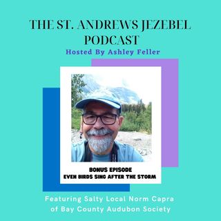 Even Birds Sing After The Storm Bonus Episode Featuring Norm Capra of Bay County Audubon Society