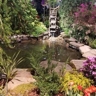 At Boston Flower Show, Advice On Dealing With Storm Damage