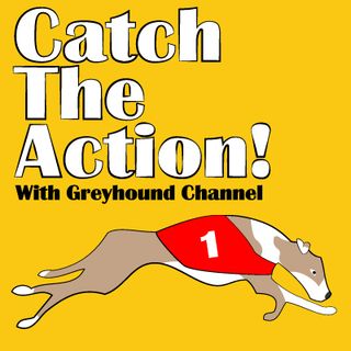 Greyhound Channel