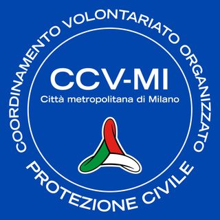 CCV-MI