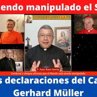 ¿Está siendo manipulado el Sínodo? Fuertes declaraciones del Cardenal Müller.