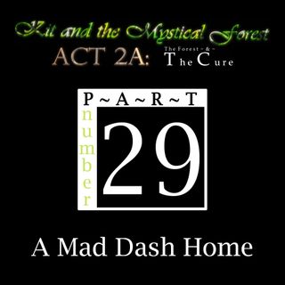 Part 29: A Mad Dash Home