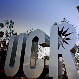 #62 University of California, Riverside - UCR