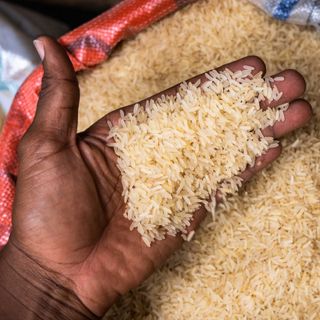 Africana: l'offensiva del riso nel Sahel