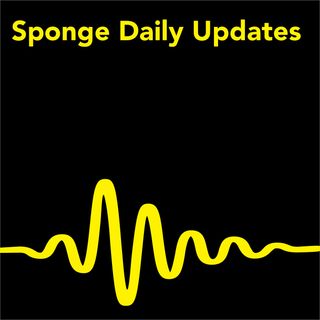 Sponge Picks