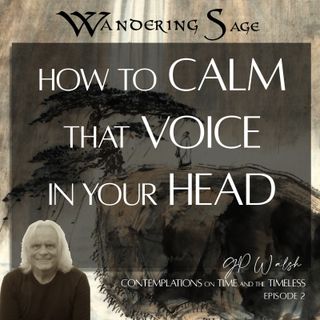 2: How to Calm that Voice in your Head