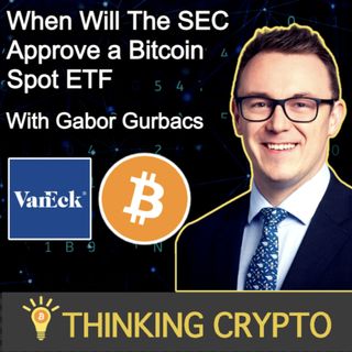 Gabor Gurbacs Interview - VanEck, Bitcoin Spot ETF, Tether USDT, SEC Crypto Regulations, NFTs