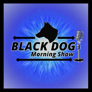 erin stoll /  the outsiders  blackdog indie country radio show  june 5