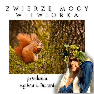 Zwierzę Mocy - Wiewiórka - Magia bogactwa obfitości gromadzenie Maria Bucardi