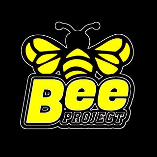 Bee Project