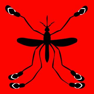 "Mosquito club" di Giovanni Giusti