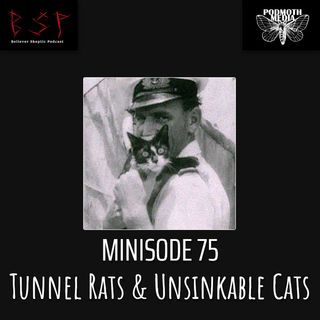 Tunnel Rats & Unsinkable Cats