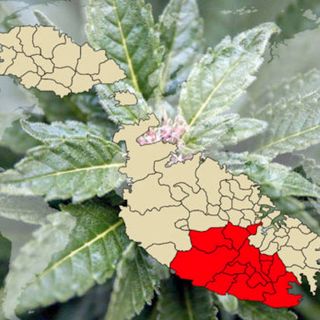Malta ha legalizzato la cannabis ricreativa: l’argine è rotto anche in Europa