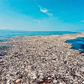 Giornata mondiale dell’Ambiente, Wwf: “Allarme plastica. I danni sono quasi irreversibili”