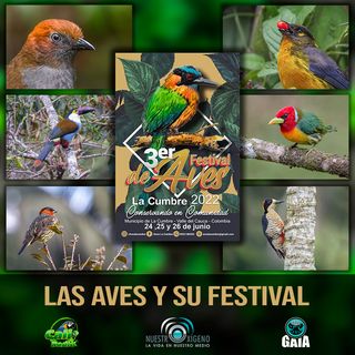 NUESTRO OXÍGENO Las aves y su festival - Christian trejos