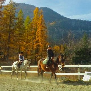 Silverado Equi-treck - Bardonecchia