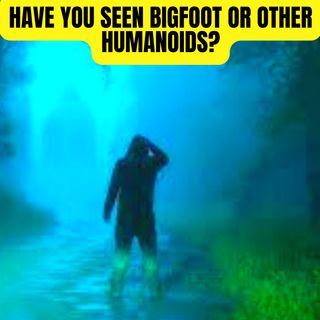 Have you seen Bigfoot or other Humanoids?