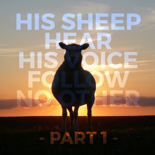 His Sheep Hear His Voice