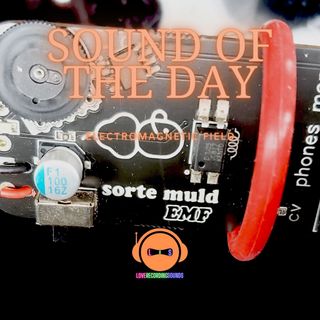 Sound Of The Day: EMF in the car with Sorte Muld EMF Device