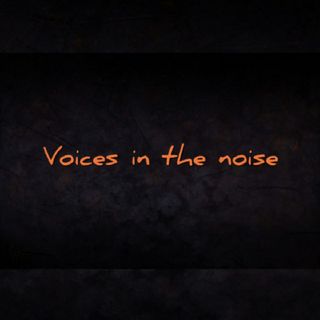 Voices In The Noise