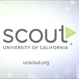 #60 UC Scout
