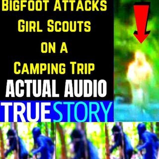 Bigfoot Attacks Girl Scouts on a Camping Trip ACTUAL AUDIO 🐵 Real Bigfoot Audio