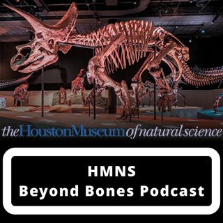 Gearing up for HMNS Summer Camp 2022!