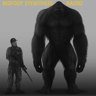 Bigfoot Eyewitness Episode 316 (2 Bigfoot + 2 Bigfoot = 1 Bigfoot)