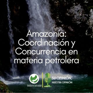 Amazonía: Coordinación y Concurrencia en materia petrolera