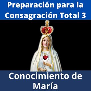 Preparación para la Consagración Total a la Virgen María. Parte 3: Conocimiento de María.