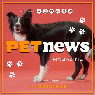 PetNews Magazine - 31/1/2024