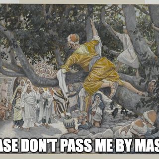 Jesus Is Passing By So Do Like Zacchaeus And Don’t Allow Him To Pass You By
