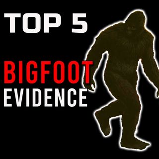 TOP 5 Bigfoot Evidence