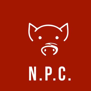 N.P.C. - Fuori programma