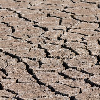 La città di Torino per il riconoscimento dei migranti ambientali
