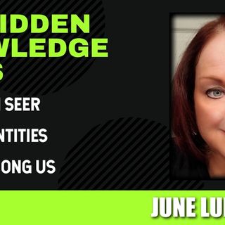 The Demon Seer - Shadow Entities - Angels Among Us with June Lundgren