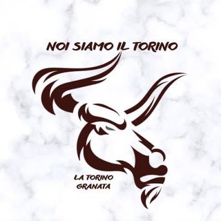 NoiSiamoilTorino