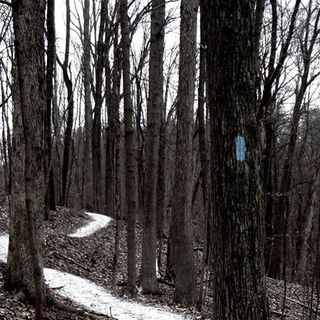 TCP Hikes - The Blue Blazes of Ohio's Buckeye Trail (5.18.2020)
