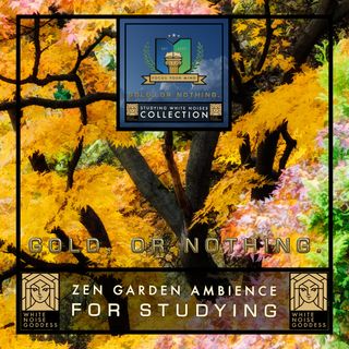 Zen Garden Ambience For Studying | Deep Focus | Peaceful Soundscape