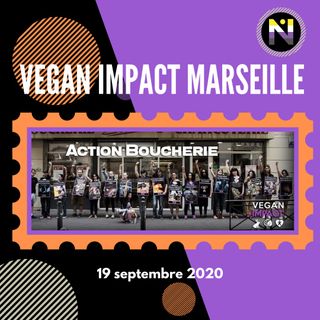 Action Boucherie Marseille