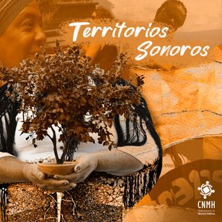 Vamo' A Sembrar: Lideresas Sociales y Memoria Histórica en Colombia