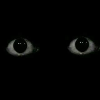CHUCKY-15 PROMO