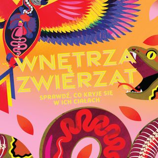 Wnętrza zwierząt