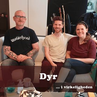 12. Dyr i virkeligheden