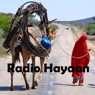 Radio Hayaan