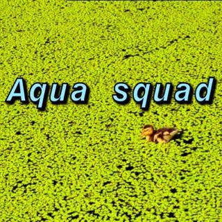 aquasquad_28